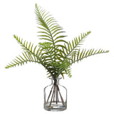 SWORD FERN IN GLASS VASE