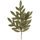 Bay Leaf Spray Gr/go