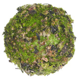 Moss and Lichen Orb