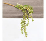 Mini Hanging Succulent