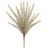 ROSEMARY BUSH