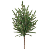 Soft Pe Cypress Pick Gr