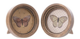 Wood Framed Butterfly Art