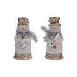 Resin Snowman W Scarf & Sign