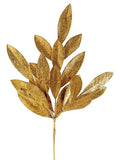 Bay Leaf Spray Go/at