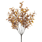 Tea Leaf Bush Br/tn