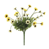 Daisy Bush