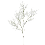 Caspia Spray X2 Wh 29.5"