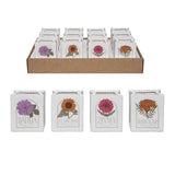 Seed Packet Planters