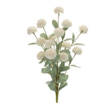 Mini Mum Bush