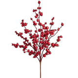 Rosehip Spray Red