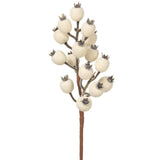 Rosehip Spray White