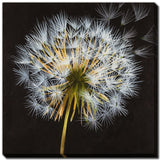 Make A Wish I 20x20