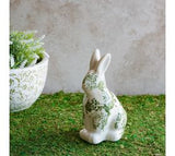 8 Verte Heirloom Bunny