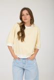 Contrast Trim Raglan Sleeve Knit Top