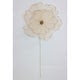 Sheer Magnolia Stem