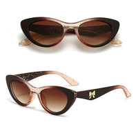 Bow Acetate Frame <p>Uv400 Eyewear Sunglasses</P>