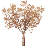 Gypsophila Bundle X5