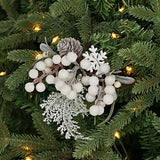 Snowy And Icy Holiday Pick