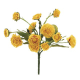 Calendula Bush Ye