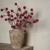 Frozen Pomegranate Spray