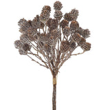 Glittered Pine Cone Bundle