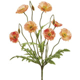 Poppy Bush