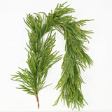 5ft Full Garland-soft Touch Norfolk Pine-2/12pc