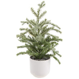 Frost Pine Tree In Pot