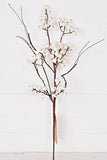 White Snowberries With Wispy Twigs-