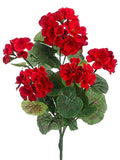 Geranium Bush Red