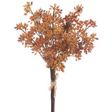 Sedum Bundle X3 Br