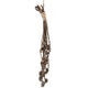 Twig Spring
