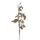 Branch