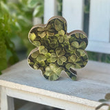 Riona Shamrock