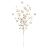 Berry Pick Wh/p