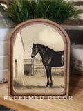 Arch Top Black Horse Framed Art