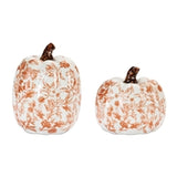 Orange Heirloom Pumpkin