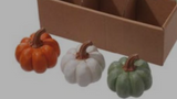 Res Mini Pumpkin