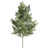 Soft Pe Cedar Spray Gr/tt