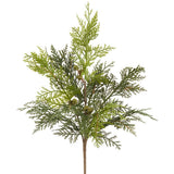 Cedar Bush Green