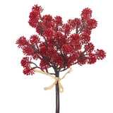 Soft Pe Sedum Bundle X3 Re