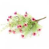 Pink Daisy Pick