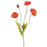 Poppy Spray Fl