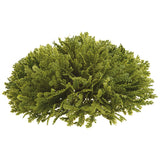 Spike Moss Half Ball Green