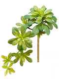 Soft Aeonium Pick, Green - 11.8"
