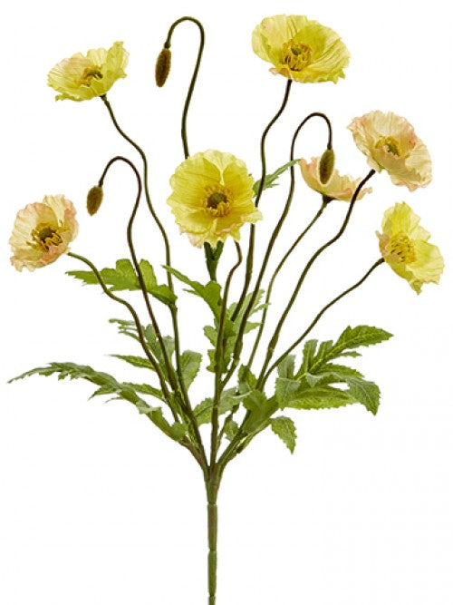 Poppy Bush, Yellow - 15"