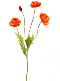 Poppy Spray Fl