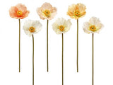 POPPY STEM