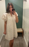 Floral Print V-Neck Dress